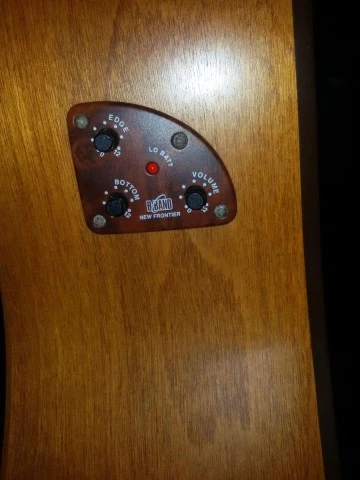 Simon &amp; Patrick 12 String