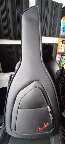 Fender newporter special Mahogany Natura