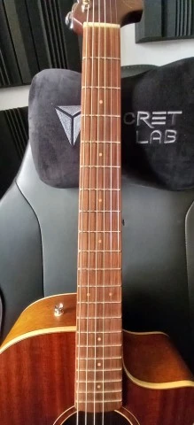 Fender newporter special Mahogany Natura