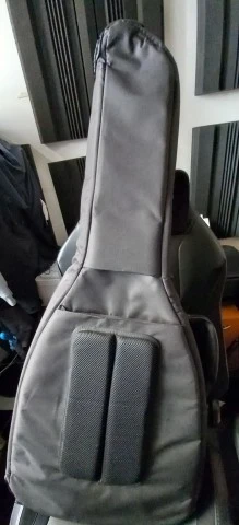 Fender newporter special Mahogany Natura
