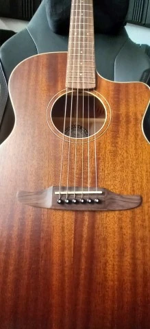 Fender newporter special Mahogany Natura