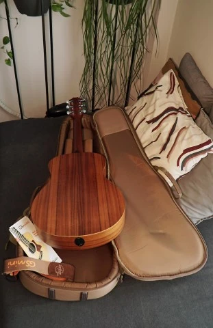 Taylor GS Mini-e Koa