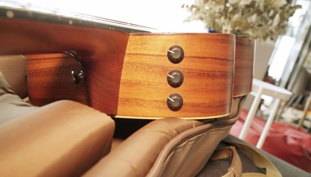 Taylor GS Mini-e Koa