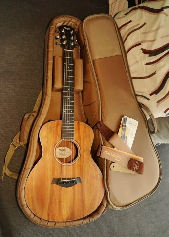 Taylor GS Mini-e Koa