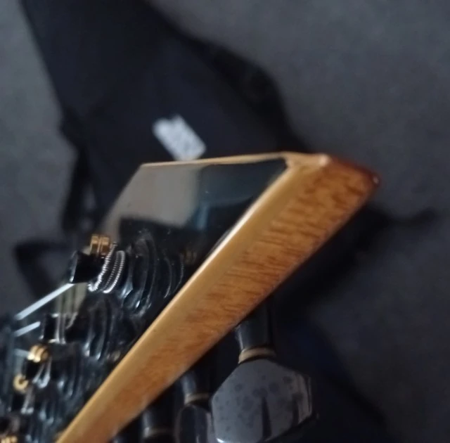 ESP LTD M201