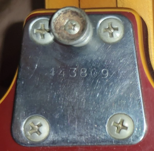 EKO Barracuda VINTAGE BASS 60's,
