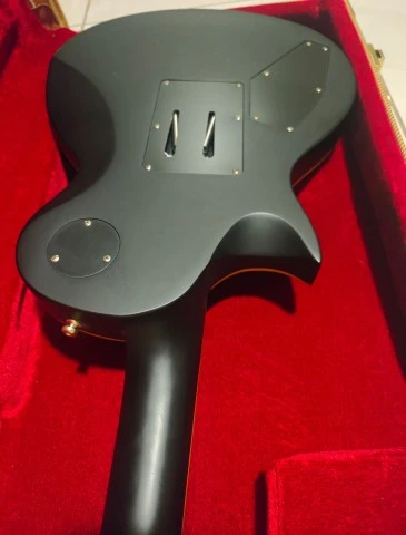 HB SC-Custom FR + Fishman Tosin Abasi 499