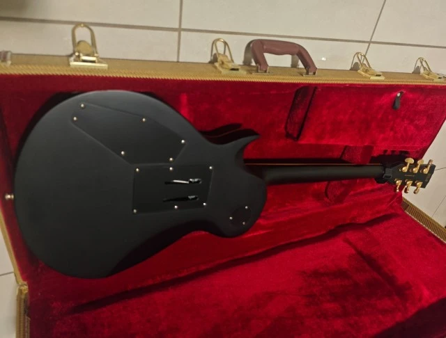 HB SC-Custom FR + Fishman Tosin Abasi 499
