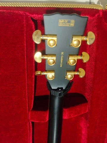 HB SC-Custom FR + Fishman Tosin Abasi 499