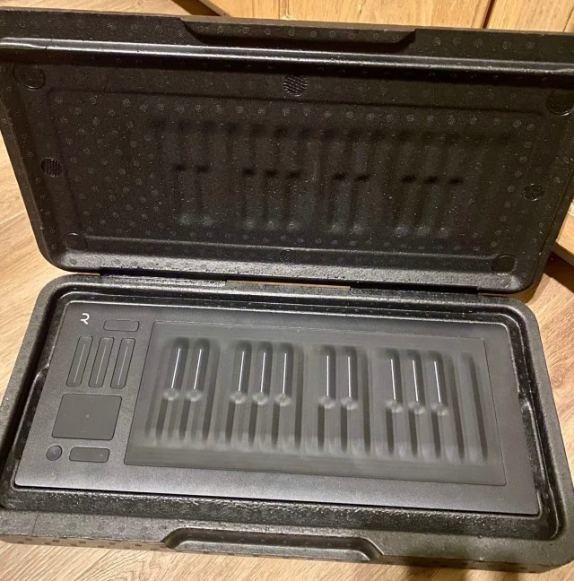 Roli Seaboard Rise 25