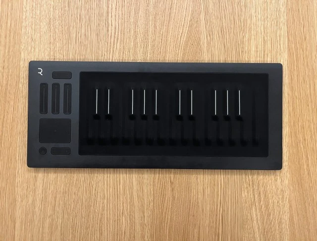 Roli Seaboard Rise 25