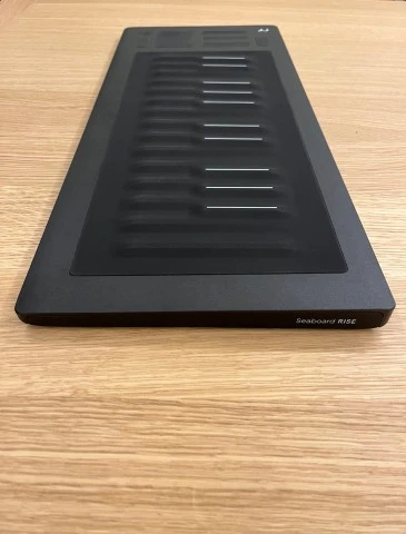 Roli Seaboard Rise 25