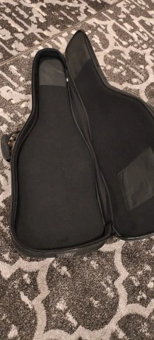 Washburn WI66 PRO