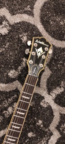 Washburn WI66 PRO