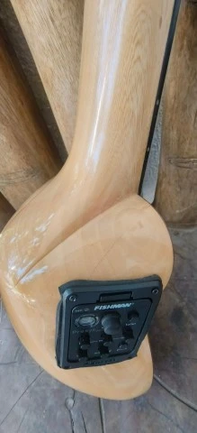 Charango Profesional