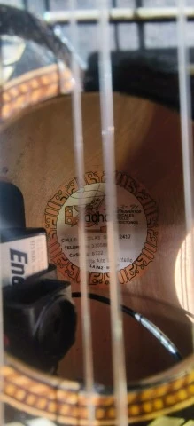 Charango Profesional