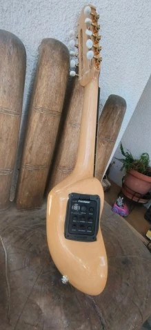 Charango Profesional