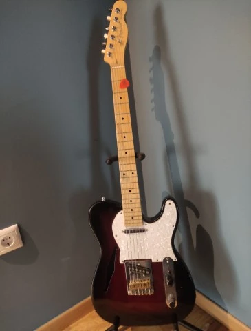 Telecaster thinline partcaster