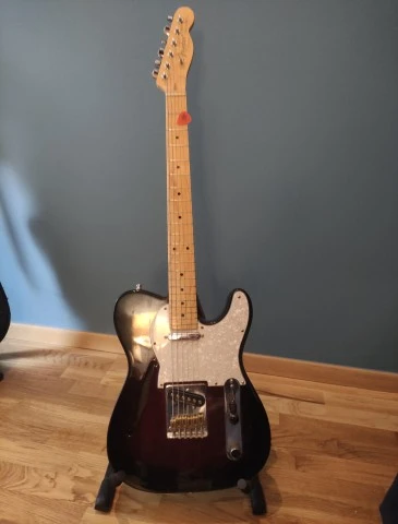 Telecaster thinline partcaster