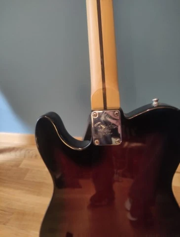 Telecaster thinline partcaster