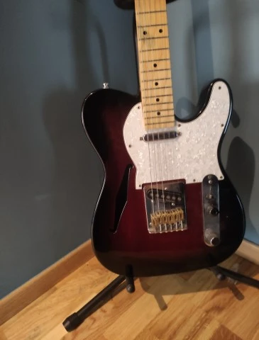 Telecaster thinline partcaster