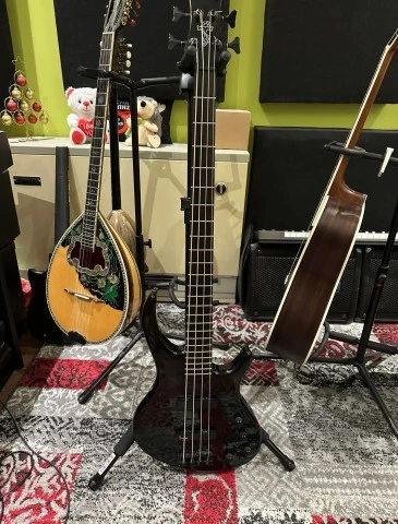 Toby by Tobias Epiphone