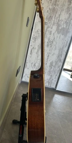 Tanglewoog TW 55 DLX
