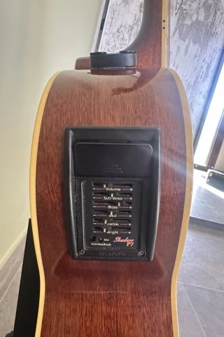 Tanglewoog TW 55 DLX