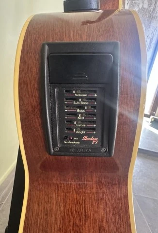 Tanglewoog TW 55 DLX
