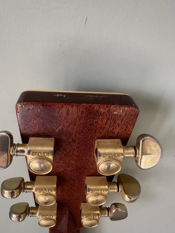 Tanglewoog TW 55 DLX