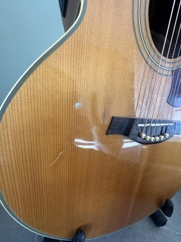 Tanglewoog TW 55 DLX