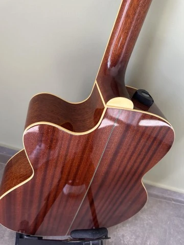 Tanglewoog TW 55 DLX