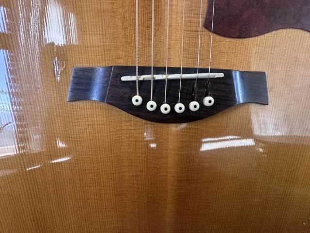 Tanglewoog TW 55 DLX