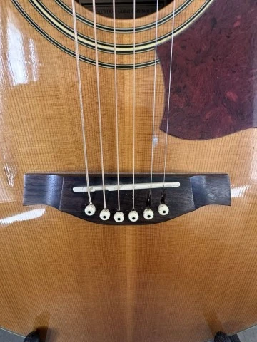 Tanglewoog TW 55 DLX