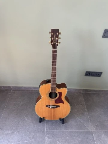 Tanglewoog TW 55 DLX