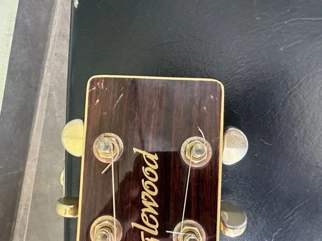 Tanglewoog TW 55 DLX