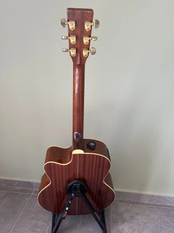 Tanglewoog TW 55 DLX