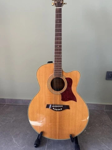 Tanglewoog TW 55 DLX