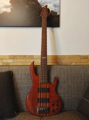 ESP LTD D-5 5 String Bass & δώρο η θ
