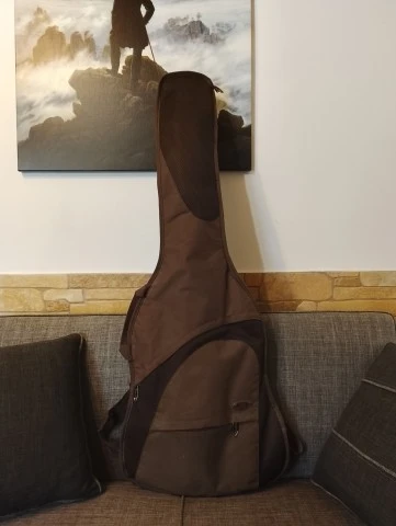 ESP LTD D-5 5 String Bass & δώρο η θ