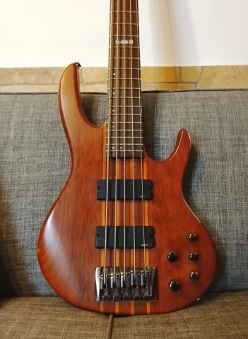ESP LTD D-5 5 String Bass & δώρο η θ