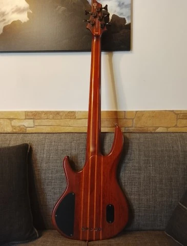 ESP LTD D-5 5 String Bass & δώρο η θ