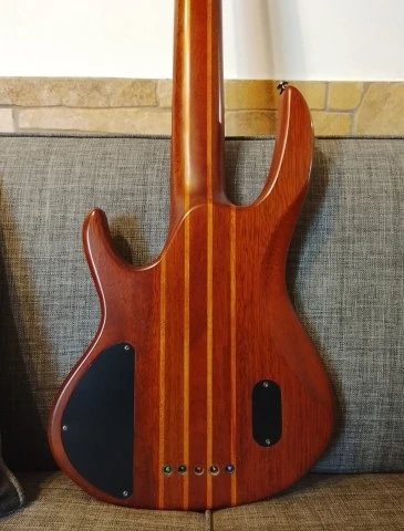 ESP LTD D-5 5 String Bass & δώρο η θ