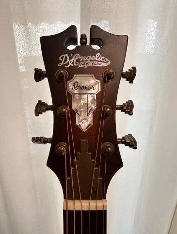 D’Angelico Premier Bowery ANM Ηλεκτροακο