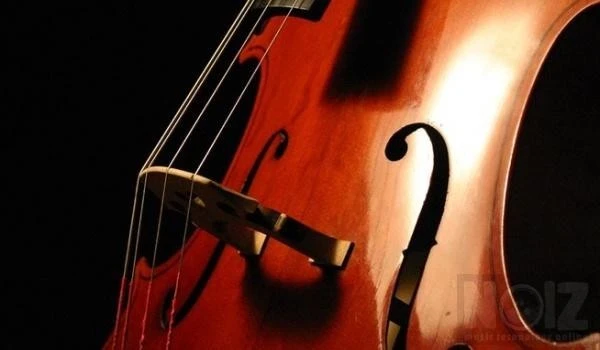 Ζητείται Cello