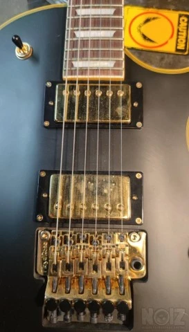 SET Roswell gold LAF AlNiCo-5 h