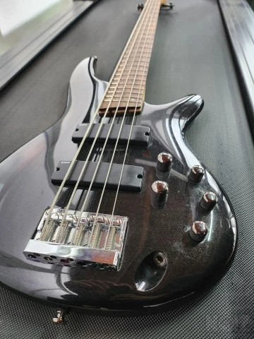 Bass combo epiphone και ibanez