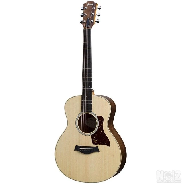 Taylor GS mini