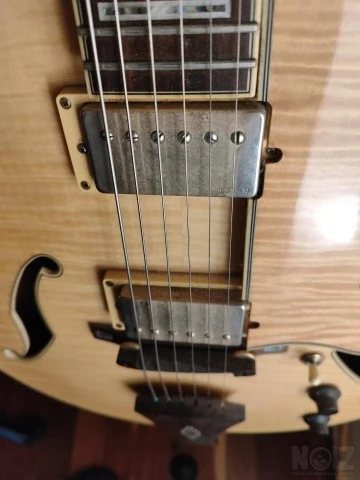 Ibanez af 105