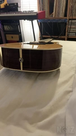 12 χορδη Takamine FC400SC